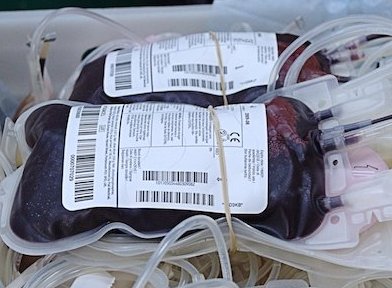 Le don du sang bientôt ouvert aux gays?