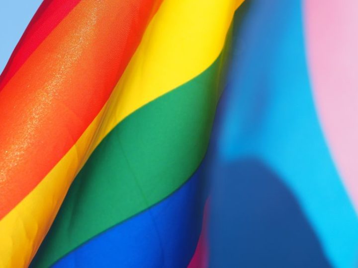 Le Conseil Fédéral veut récolter des données sur les discriminations liées à l’orientation sexuelle et l’identité de genre
