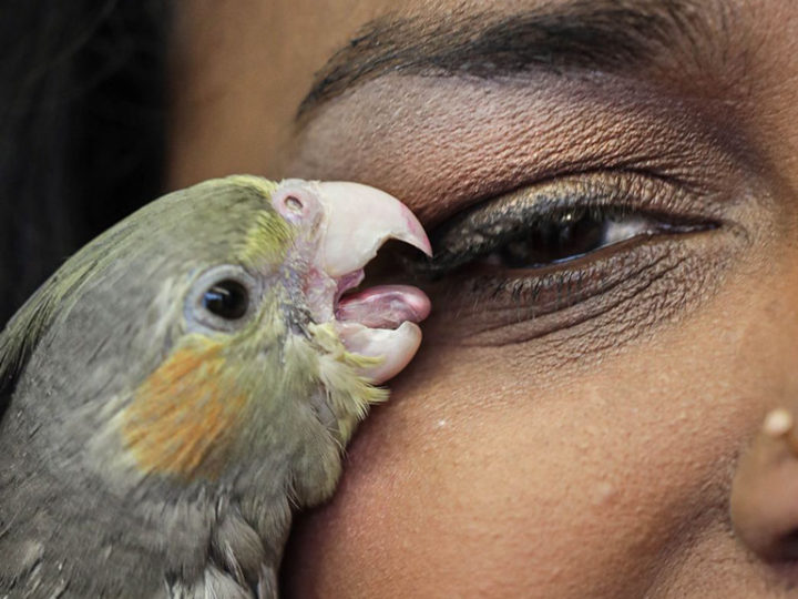 Living Smile Vidya: un rire pour survivre