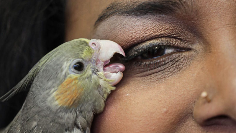 Living Smile Vidya: un rire pour survivre