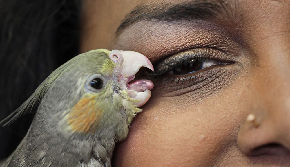 Living Smile Vidya: un rire pour survivre