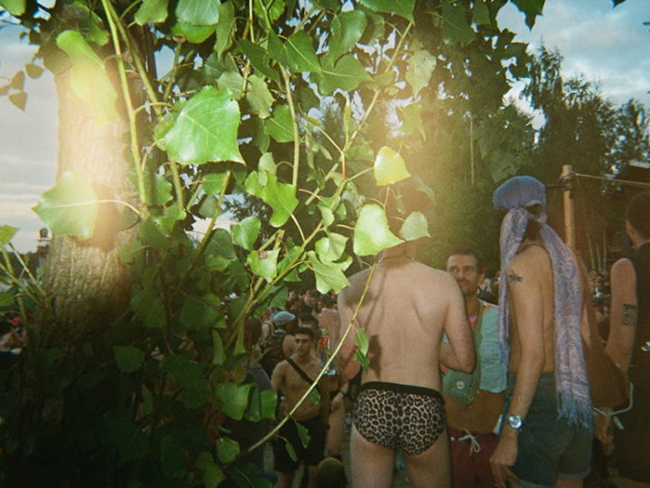 Chronique d’une cartographie du désir au Whole 2025