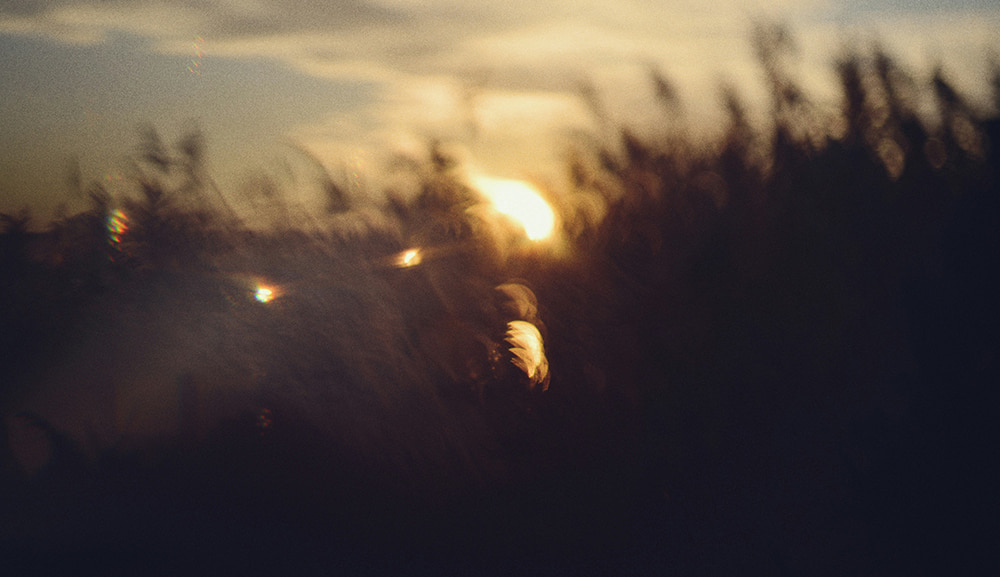 Lesbiennes sur le tard: faire son coming out après 30 ans